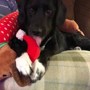 Meet your Posher, Leah